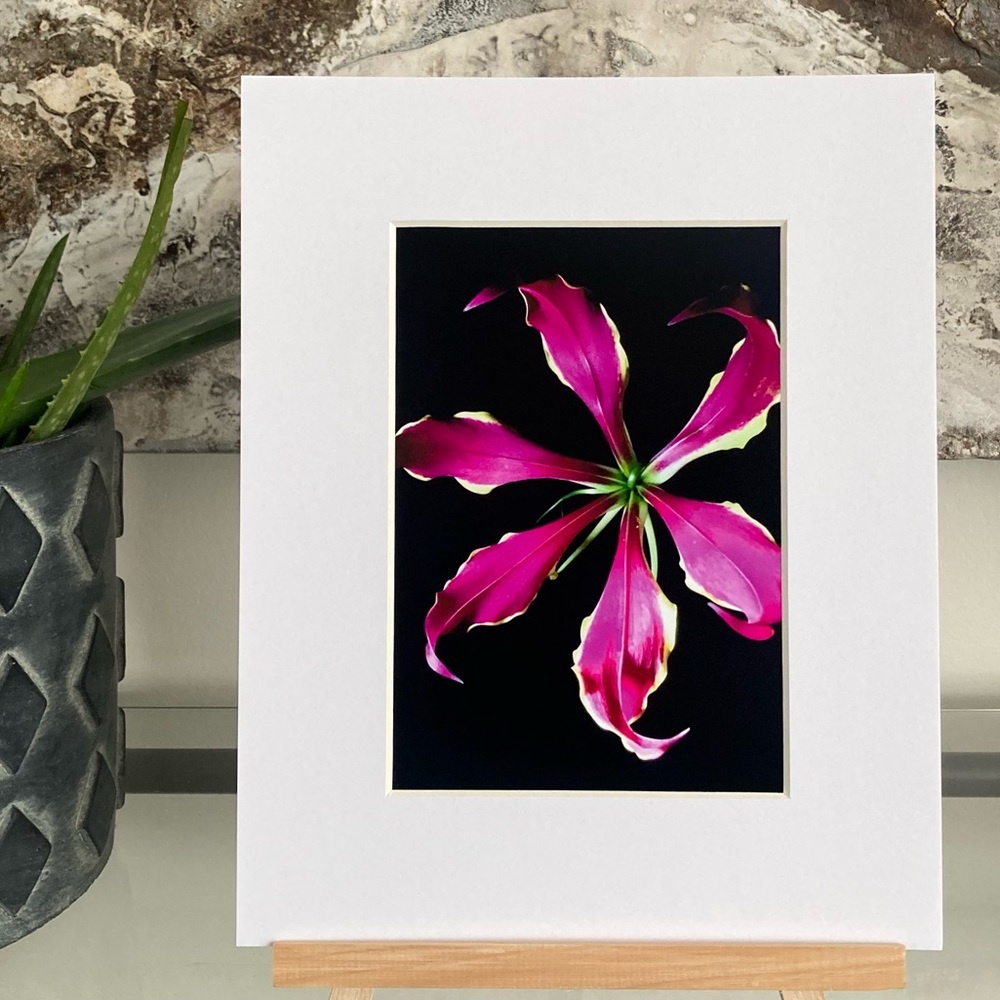 “YOU SPIN ME ROUND” ~ ORIGINAL ART by ~ @lisamichellebeckerphotography